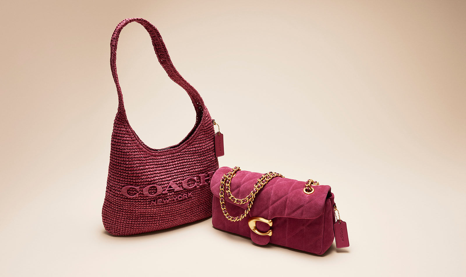 Bolsas de Hombro Coach