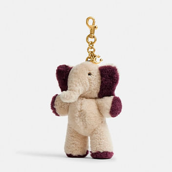 Colección Accesorios