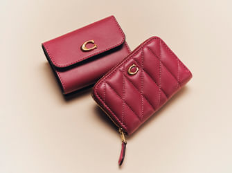 Carteras
