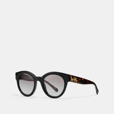 lentes de sol coach mujer