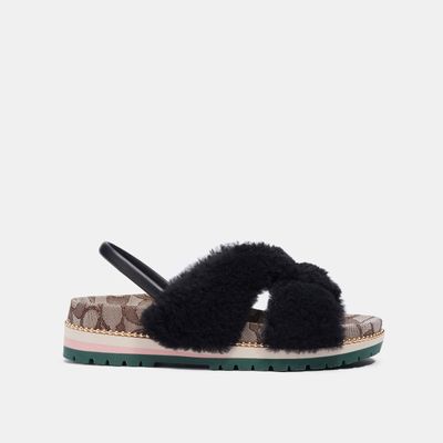 Mujer - Zapatos Coach Negro 6.5 – coachmx