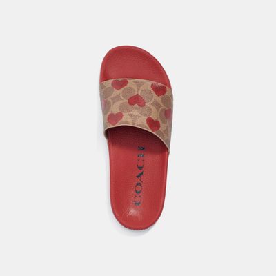 Zapatos | Novedades Mujeres | Coach Tienda en Línea | Zapatos, Bolsas y  Accesorios para Mujer