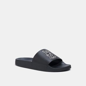 

Lunar Rabbit Slides