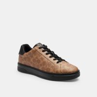 Zapatos