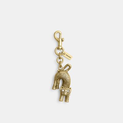 charm-de-gato-CBH22-IMGLD