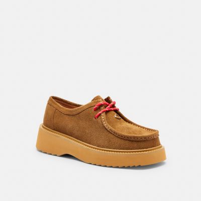 botines-sculpted-c-suede-cafe-mujer-CBO47-CG0