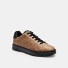 tenis-high-line-canvas-cafe-hombre-CCN58-KHBK
