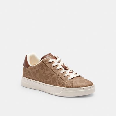 tenis-high-line-canvas-signature-cafe-mujer-CCN67-XH9