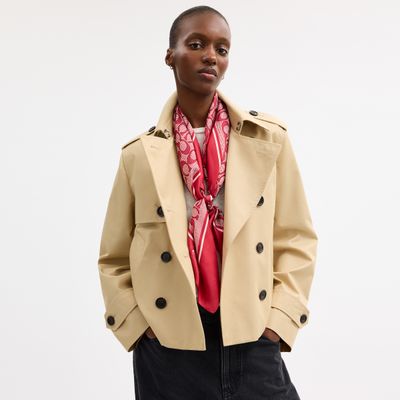 mascada-coach-signature-c-print-c2755-dn8