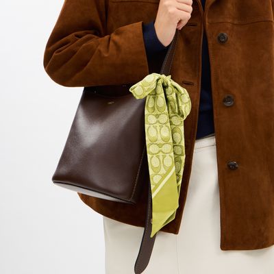 mascada-coach-signature-c-print-c2783-z0g